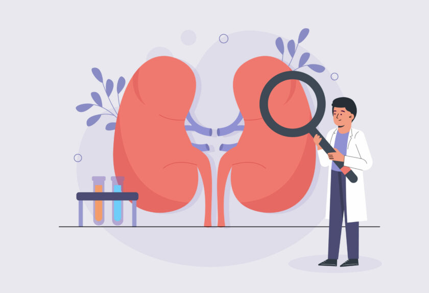 Essential Things You Need to Know About Chronic Kidney Disease!